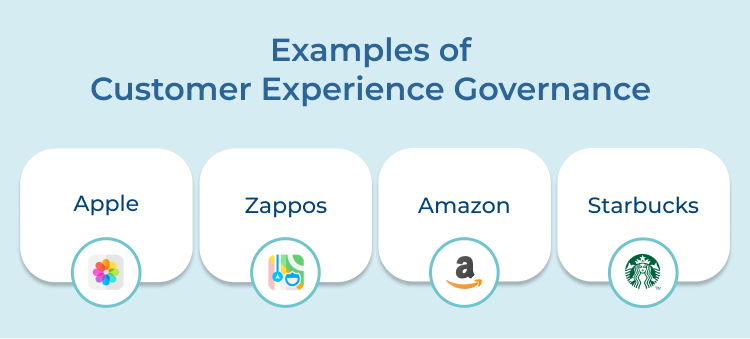 Customer Experience Governance Examples