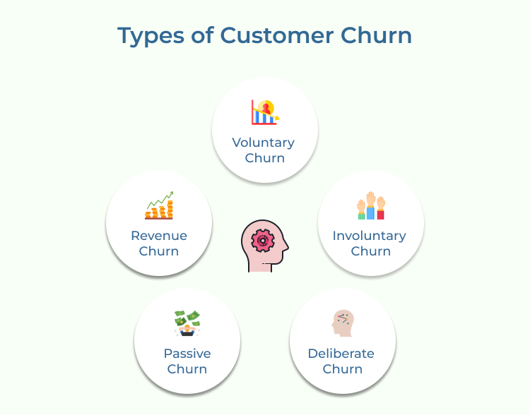 Customer Churn Types