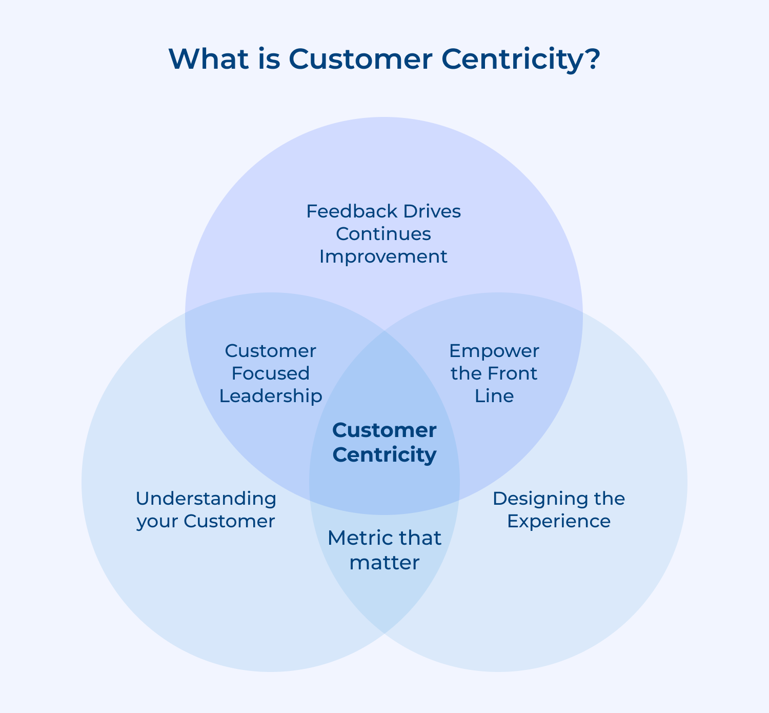 What is customer centricity