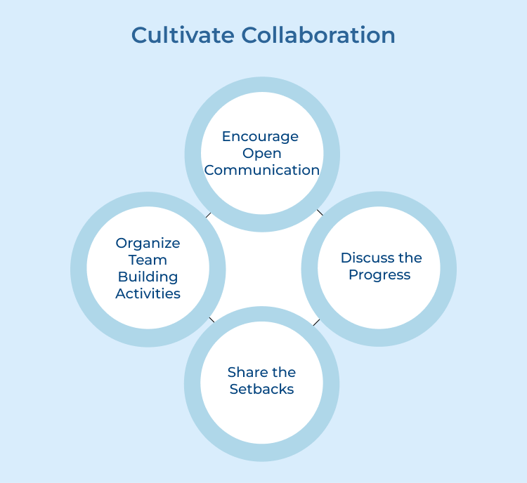 Cultivate Collaboration