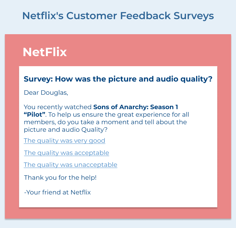 Netflix's Customer Feedback Surveys