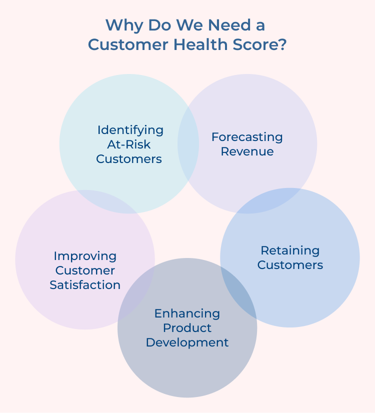 Customer Health Score Needs