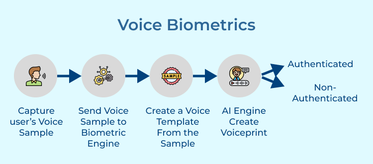 Voice Biometrics