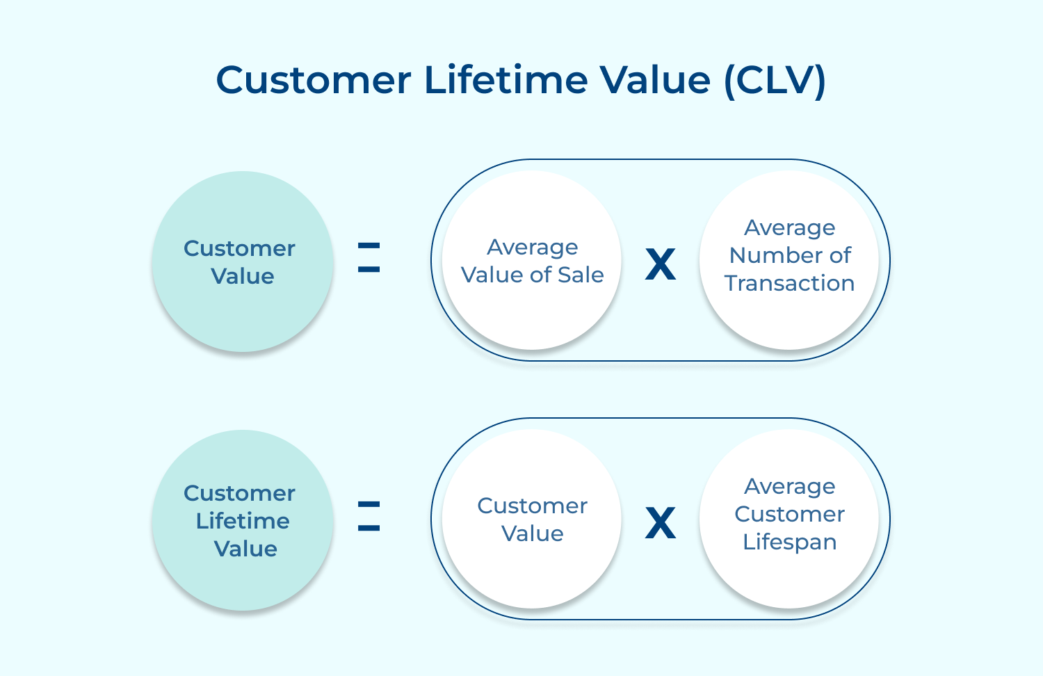 Customer Lifetime Value (CLV)